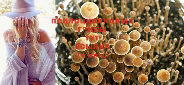 спиды Михайловка