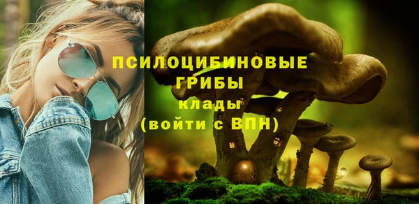 меф Медногорск