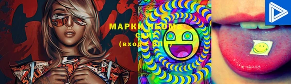 МДПВ Михайлов